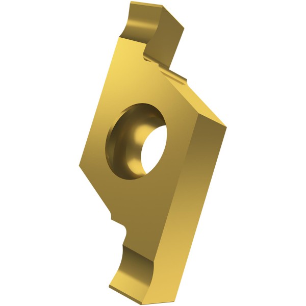 49804_137041-X61_0602-215_R_GOLD