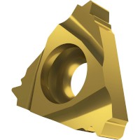 33926_115805-TNBSPTEXT_GOLD