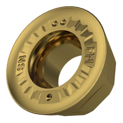 49012_120295-RDGT12IM_FM_GOLD