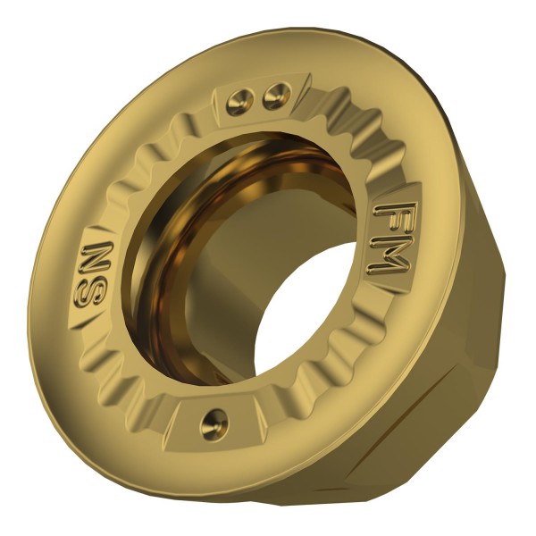 49012_120295-RDGT12IM_FM_GOLD