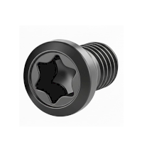 54603-vbd_screw_replacement_01