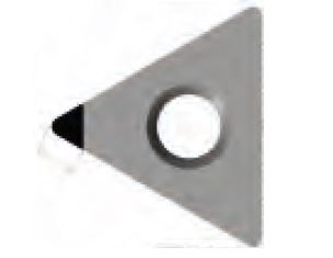 TCGW 16T304FN-A3 PKD1 destička CBN