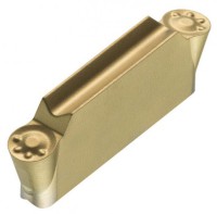 33811_112880-LCMF_0316_MO-MP_GOLD