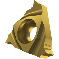 34034_116023-TNNPTINT_GOLD(5)