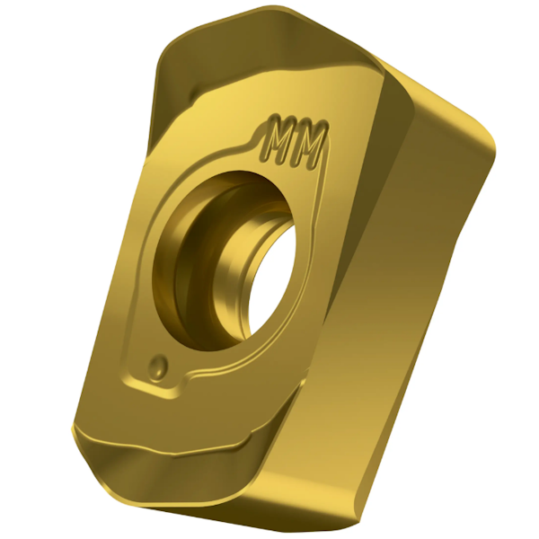 48604-bngx_gold_mm_01