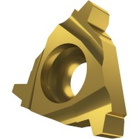 33947_116083-TNTREXT_R_GOLD