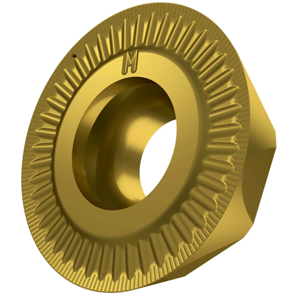 49078-reht_gold_m_01